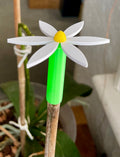 Daisy Plant Stake Topper | Decorative Orchid Cane Cap | 3D Printed Flower Stake Cover | Plant Support Topper | Custom Sizes