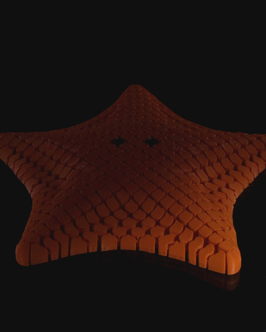 Cute Flexi Starfish Fidget Toy | Articulated 3D Printed Sea Star | Sensory Toy for Kids & Adults | Desk Companion Gift